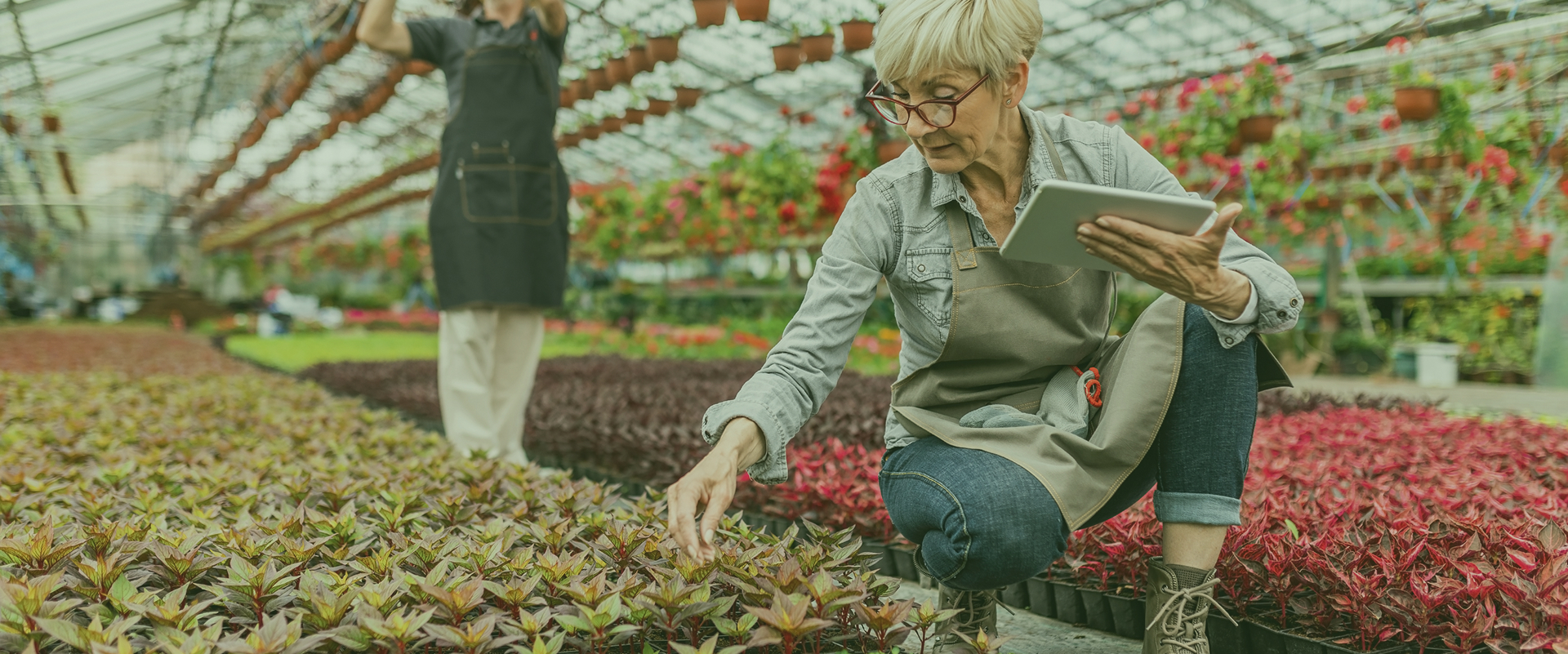 Bitkilerini Koruyun, Veriminizi Artırın